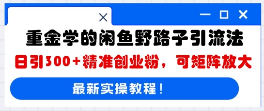 重金学的闲鱼野路子引流法，日引300+精准创业粉，可矩阵放大-煜熳智能体社区